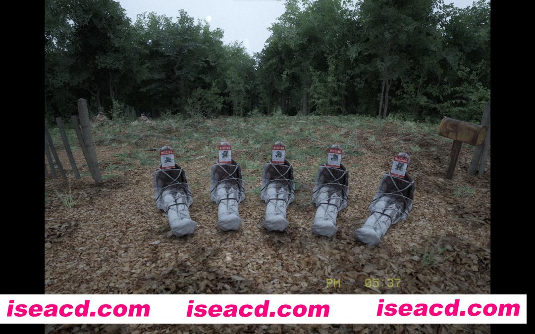 图片[2]-[3D游戏/中文/恐怖惊悚] 无声的呼吸/SILENT BREATH/支持网络联机 v0.99D 官方中文 [7G/新作]-嘤嘤怪之家