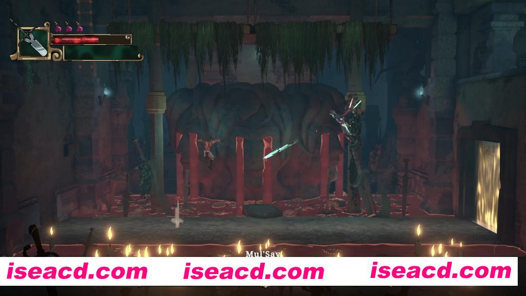 图片[2]-[横版ACT/中文/2D] 亡魂战纪/Winds Of Arcana: Ruination v1.103 官方中文版 [15G/更新]-嘤嘤怪之家