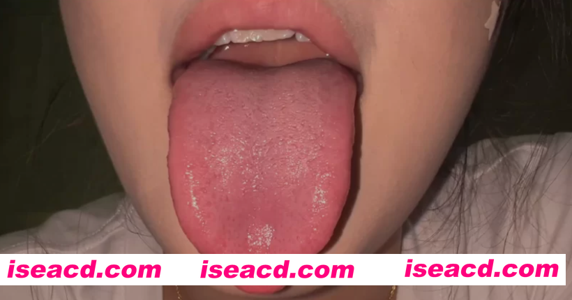 图片[2]-[视频/合集/中文/步兵] b站擦边博主： bob1啵啵 特殊XP系列合集 口水/咀嚼/羞辱 [15v] [1.6G]-嘤嘤怪之家