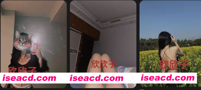 [视频/步兵] 推特福利姬：欣欣子baby 金主线下拍摄作品合集 步兵 [1.5G]