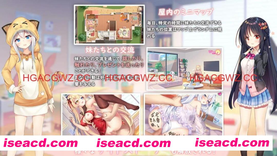 【精品SLG/中文/动态/CV】想要诉说的心意steam官方中文版【PC/7.9G/全CG存档】