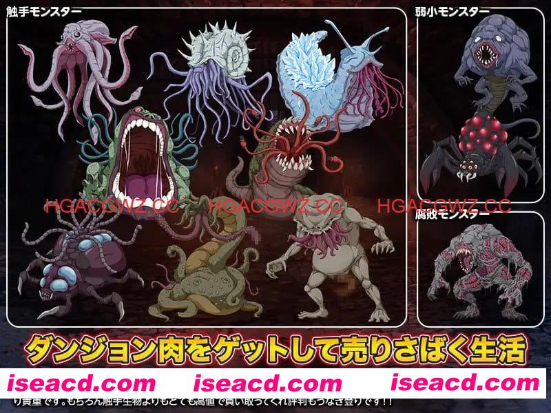 【RPG/AI汉化/MTool】迷宫肉/地下城肉【PC/1.5G】