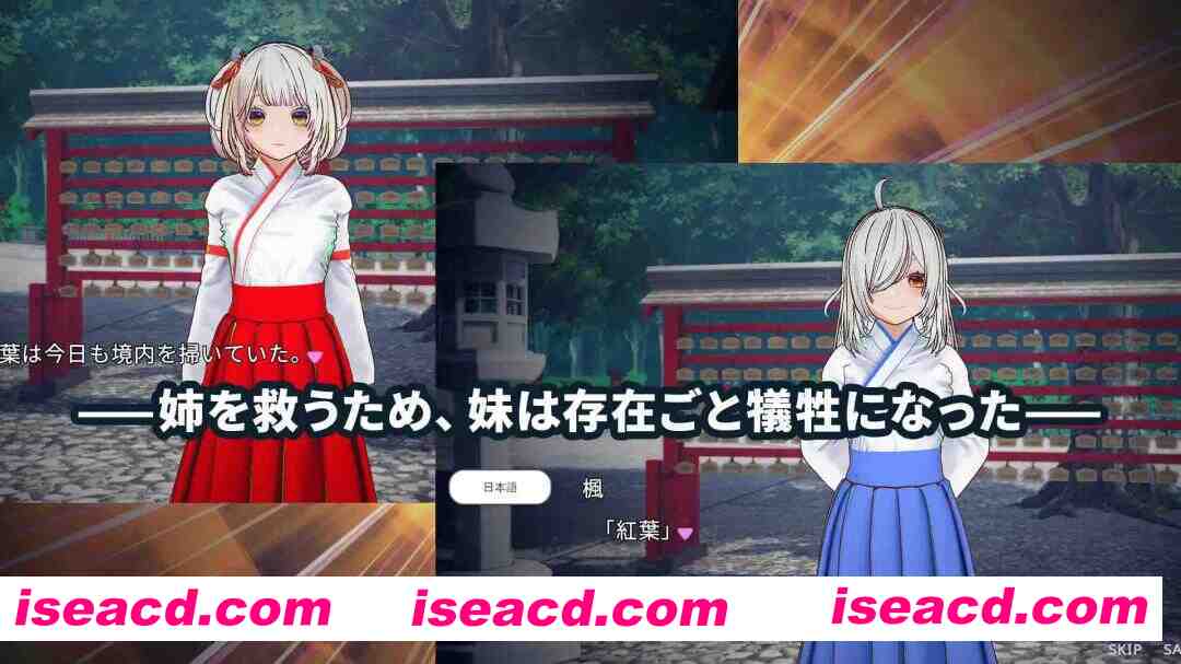 图片[3]-【互动SLG/官中/NTR/3D/PC】白鸟神社的巫女以禁忌之念拯救姐姐 白鳥神社の巫女は許されぬ想いで姉を救う 官方中文版【3.98G】-嘤嘤怪之家