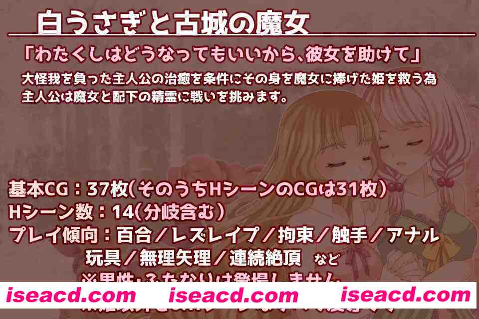 图片[4]-【日系RPG/汉化/百合/PC】白兔与古城魔女 白うさぎと古城の魔女 Mtool汉化【1.33G】-嘤嘤怪之家