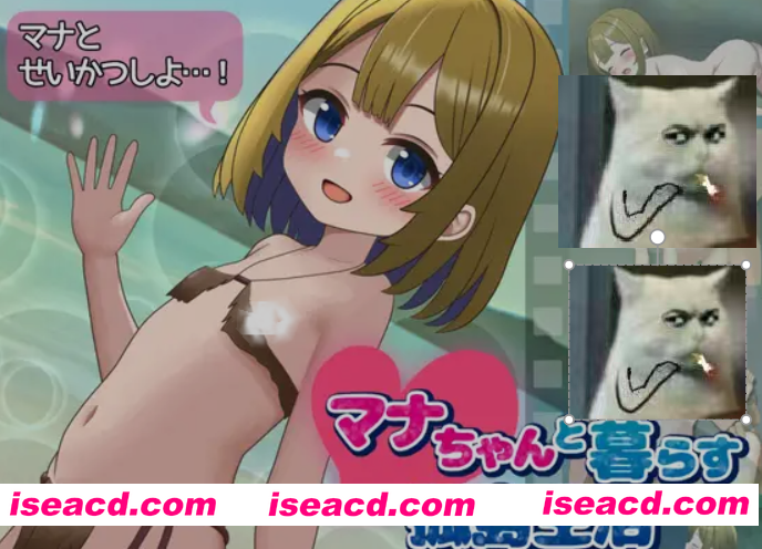 [日式SLG/汉化/PC+安卓] 与玛娜酱共度的孤岛生活マナちゃんと暮らす孤島生活 叶酱内嵌汉化版 [800M/新作]