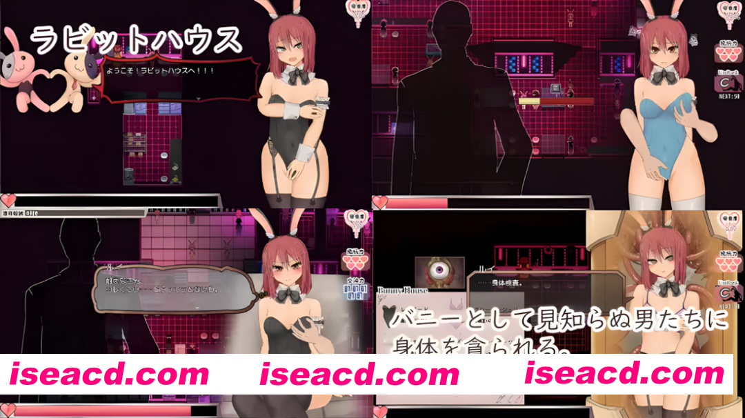 图片[7]-【日系精品RPG神作/官中/无码/PC+安卓joi】苏尔露伊 -after mini- ソルルイ -after mini- Ver1.01 官方中文步兵版【1.11G】-嘤嘤怪之家