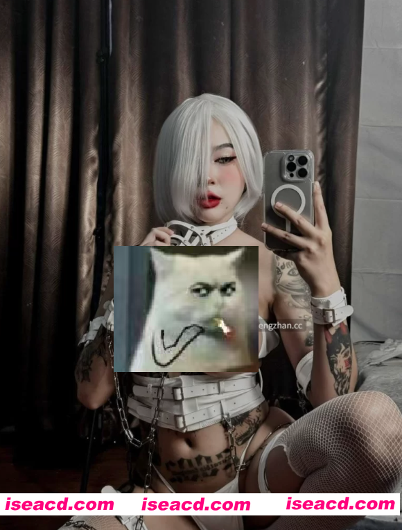 [COS/视频/步兵] 推特零零后Coser福利姬 namii11455 门槛+私拍+订阅合集 [1.9G]