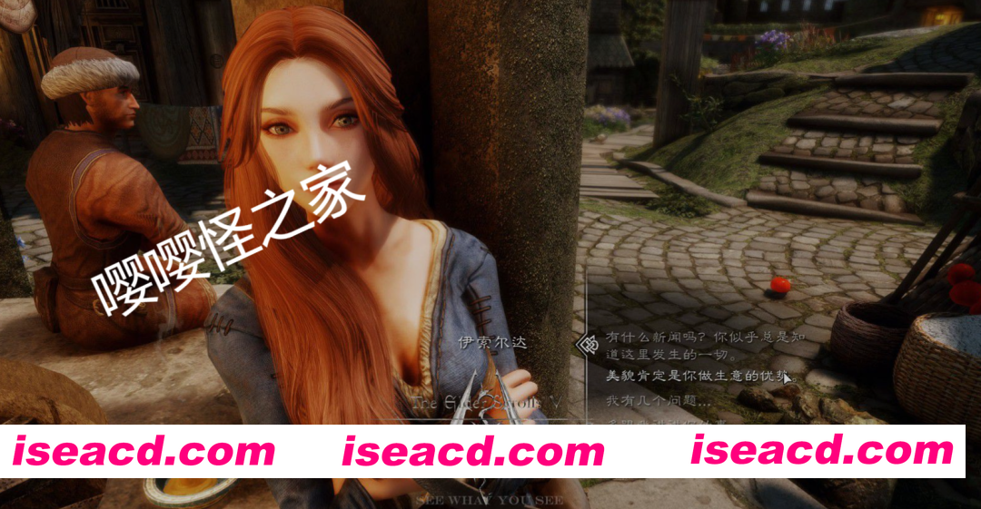 图片[5]-[整合版/中文] 上古卷轴5 天际特别版 炫压抑整合 [1600+MOD/全美化/超强实验室/沉浸感MAX/全新捏脸] [210G/解压后400G]-嘤嘤怪之家