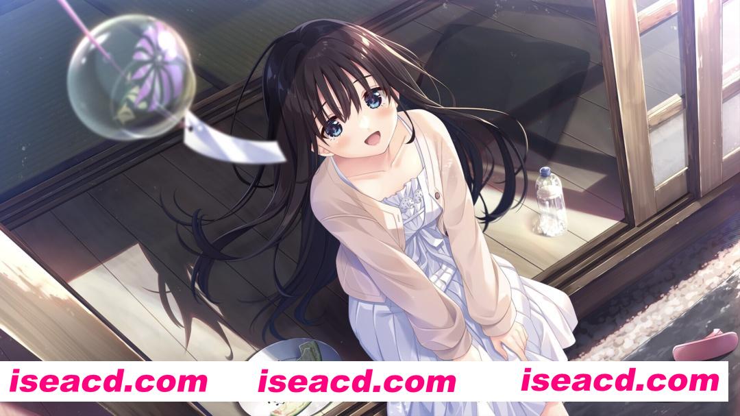 图片[9]-【日系RPG精品/官中/骨科/无码/PC】痴情哥哥与病弱妹妹的乡间生活 エッチで一途なド田舎兄さまと、古式ゆかしい病弱妹 官方中文版+DLC1+2+3+4【4.33G/CV】-嘤嘤怪之家