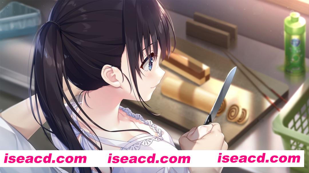 图片[11]-【日系RPG精品/官中/骨科/无码/PC】痴情哥哥与病弱妹妹的乡间生活 エッチで一途なド田舎兄さまと、古式ゆかしい病弱妹 官方中文版+DLC1+2+3+4【4.33G/CV】-嘤嘤怪之家