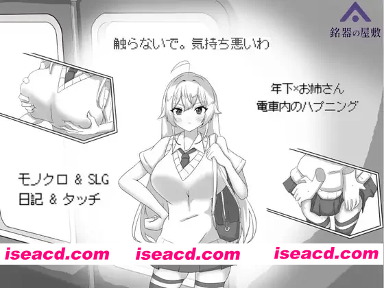 [PC-SLG] 新作[互动SLG/侮辱] 目标：黄金巢穴！～满员电车的绝对入侵～ 目標:黄金の巣穴！～満員電車の絶対侵入～ 官中版 [140M][BD]