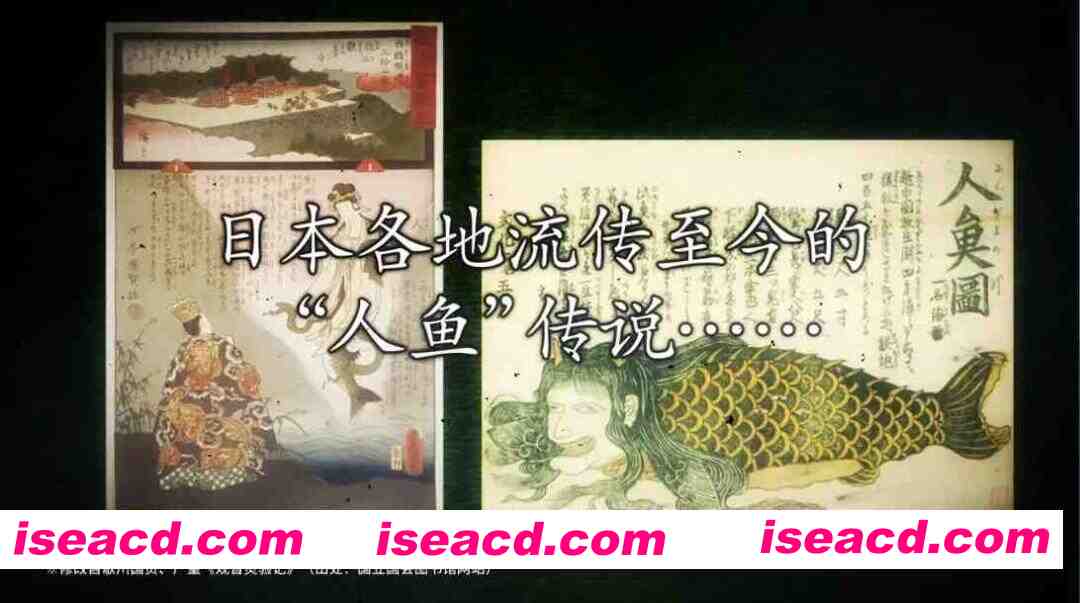 图片[2]-【日系SLG/官中/奇幻/PC】灵视异闻 FILE38 伊势人鱼物语 パラノマサイト FILE38 伊勢人魚物語 官方中文版【994M】-嘤嘤怪之家