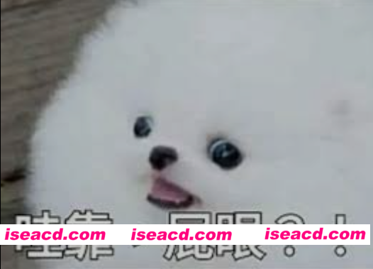 图片[1]-[视频/步兵/大合集] 屁眼专精！ 40部精选扩张/爆肛/各种福利姬嫩屁合集 [40V] [27G]-嘤嘤怪之家