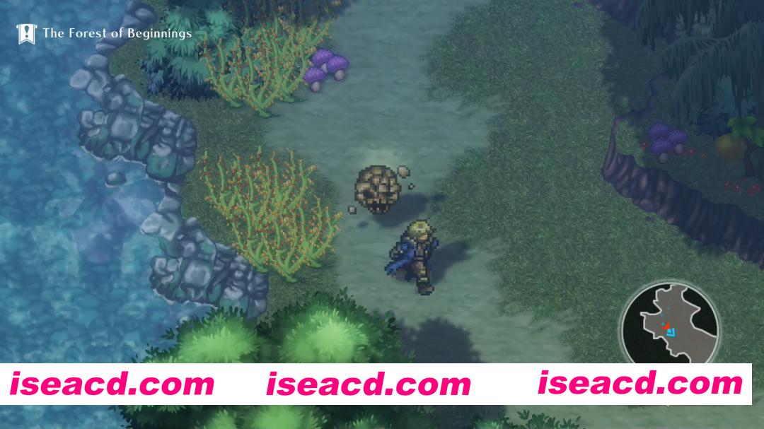 图片[2]-[RPG/中文/3D] 魔法师世界Re;Try/WiZmans World Re;Try Build.22070172 官方中文版 [1.8G/新作]-嘤嘤怪之家