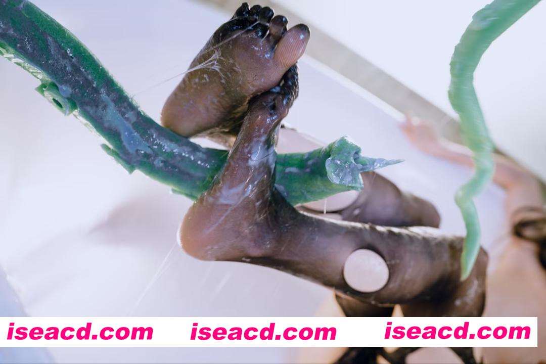 图片[4]-[COSPLAY/带视频] 秋和柯基 – 触手 [155P 1V] [3.5G]-嘤嘤怪之家