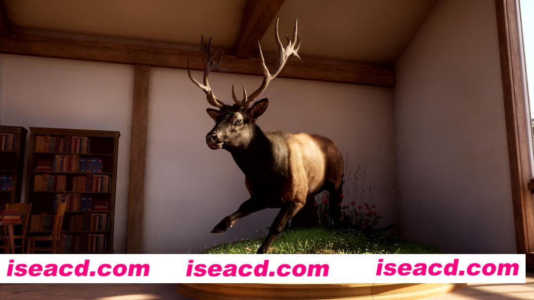 图片[4]-[ARPG/中文/3D] 狩猎之道2/Way of the Hunter 2 Build.22521819 官方中文版 [16G/新作]-嘤嘤怪之家