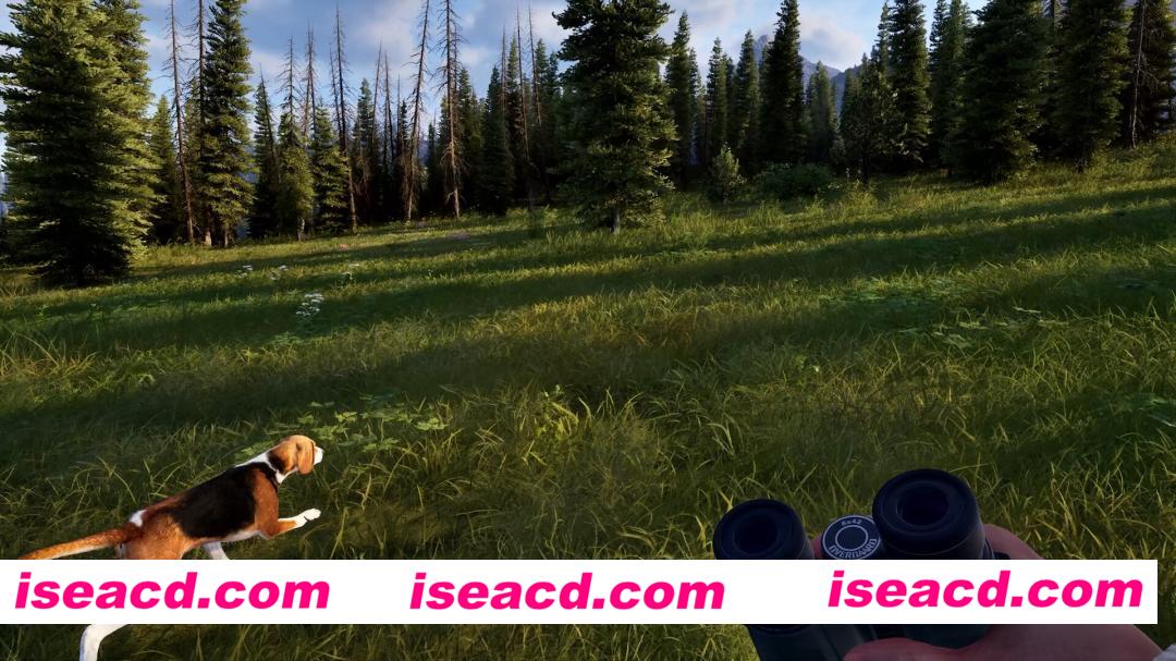 图片[2]-[ARPG/中文/3D] 狩猎之道2/Way of the Hunter 2 Build.22521819 官方中文版 [16G/新作]-嘤嘤怪之家