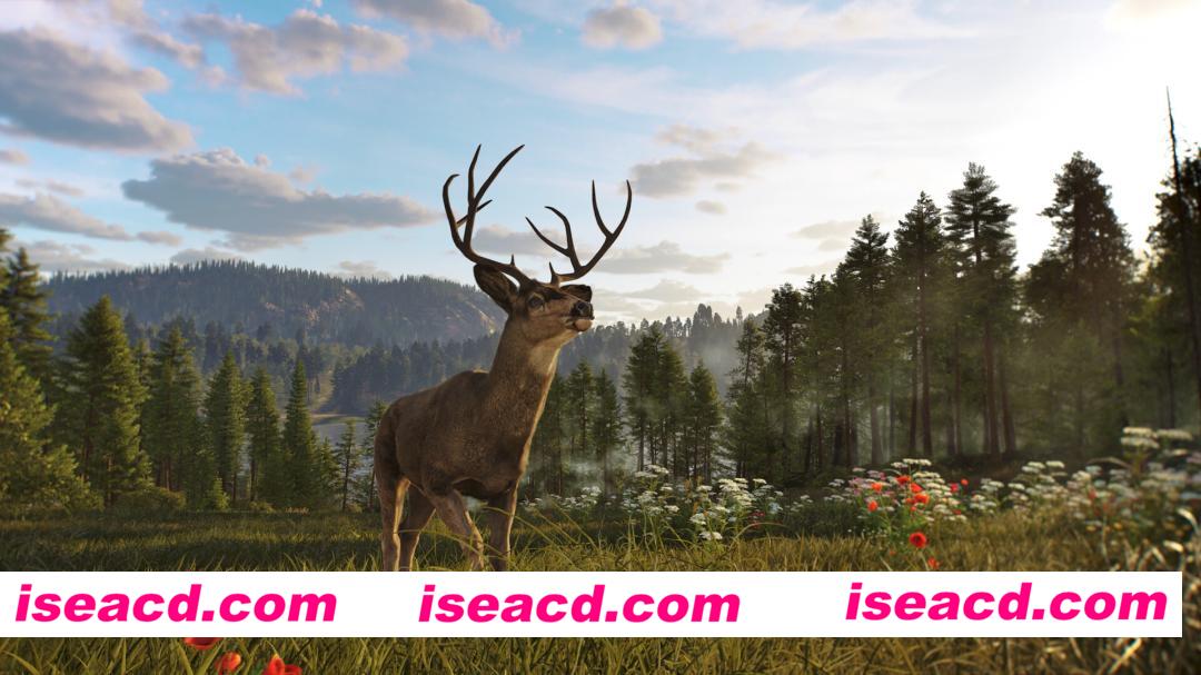 图片[1]-[ARPG/中文/3D] 狩猎之道2/Way of the Hunter 2 Build.22521819 官方中文版 [16G/新作]-嘤嘤怪之家