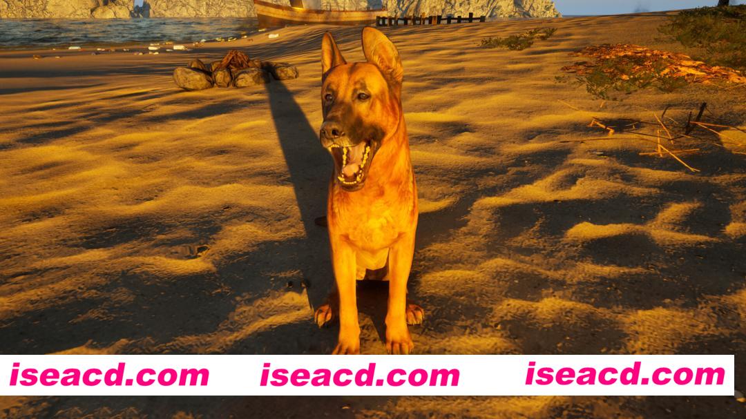 图片[6]-[模拟SLG/中文/3D] 重建你的岛屿/Restore Your Island Build.22737482 官方中文版 [5.6G/新作]-嘤嘤怪之家