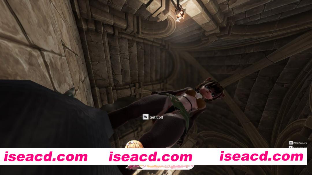 [PC-ACT] [ACT/3D/欧美]地下城 突袭她 Dungeon Raid Her v0.3.1 官方正式版[PC/3.03G] [BD]