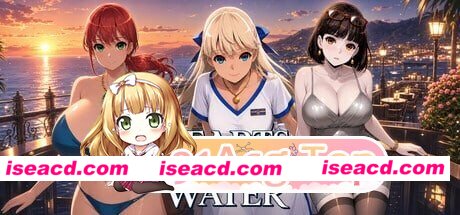 [PC-ADV] [ADV/PC/官中步兵]公海之心Hearts in Open Water[930M] [BD]